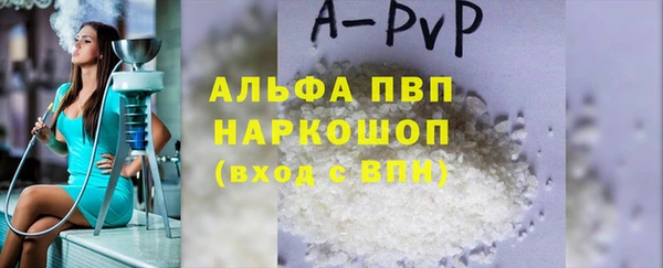 хмурый Верея
