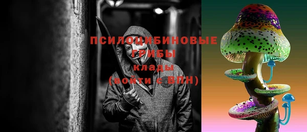 хмурый Верея