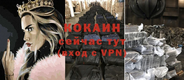 хмурый Верея