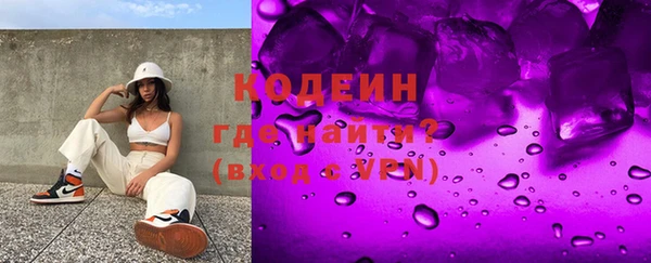 хмурый Верея