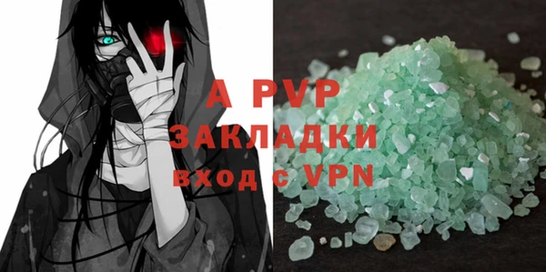 хмурый Верея